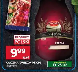 Stokrotka Kaczka świeża oferta