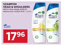 Stokrotka Szampon Head & Shoulders oferta