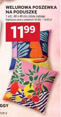 Stokrotka Poszewka na poduszkę welurowa oferta