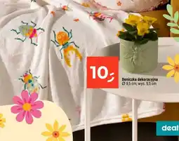 Dealz Doniczka dekoracyjna oferta