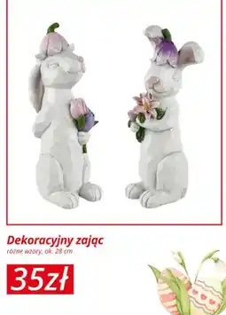 KiK Dekoracyjny zając różne wzory oferta