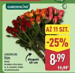 ALDI Róże bukiet 11 szt oferta