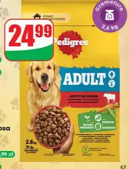 Dino Sucha karma dla psa Adult oferta