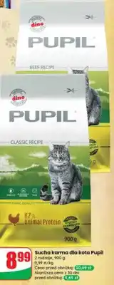 Dino Sucha karma dla kota 2 rodzaje oferta