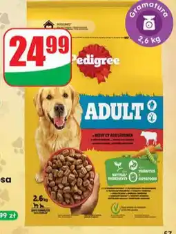 Dino Sucha karma dla psa 2 rodzaje oferta