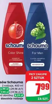 Dino Szampon do włosów Color Shine oferta