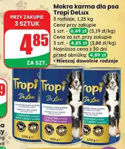 Dino Mokra karma dla psa 3 rodzaje oferta