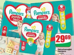 Dino Pieluchomajtki 5 oferta