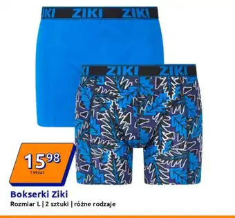 Action Bokserki Ziki oferta