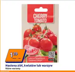 Action Nasiona warzyw oferta