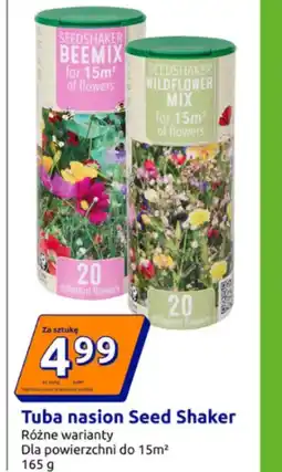 Action Nasiona kwiatów oferta