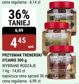 bi1 Przysmak trenerski o'canis oferta