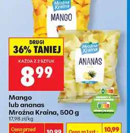 Biedronka Mroźna Kraina Mango lub ananas oferta