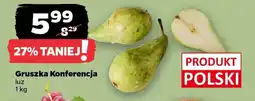 Netto Gruszka Konferencja oferta
