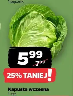 Netto Kapusta wczesna oferta