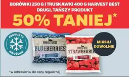 Netto Borówki i truskawki harvest best oferta