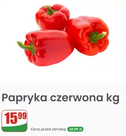 Dino Papryka czerwona kg oferta