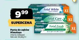 Netto Pasta do zębów Himalaya oferta