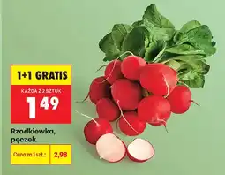 Biedronka Rzodkiewka pęczek oferta