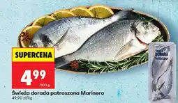 Biedronka Świeża dorada patroszona oferta
