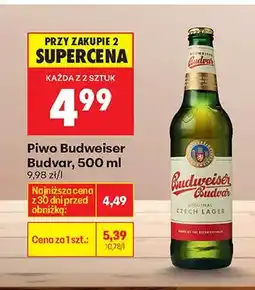 Biedronka Piwo Budvar oferta
