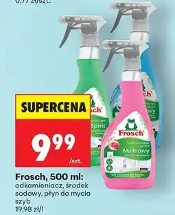 Biedronka Środek odkamieniacz oferta