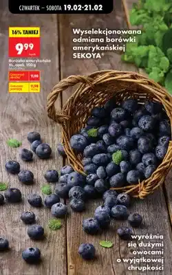 Biedronka Borówka amerykańska XL oferta