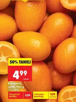 Biedronka Kumkwat oferta