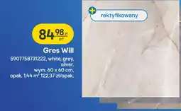 Castorama Gres Will white oferta