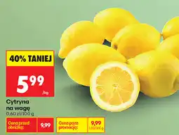 Biedronka Cytryna na wagę oferta