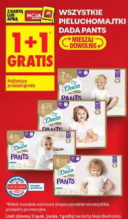 Biedronka Wszystkie pieluchomajtki Dada Pants oferta