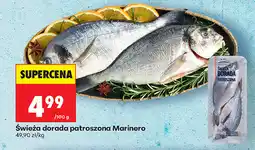 Biedronka Świeża dorada patroszona Marinera oferta