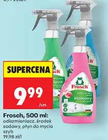 Biedronka Frosch, 500 ml: odkamieniacz, środek sodowy, płyn do mycia szyb oferta