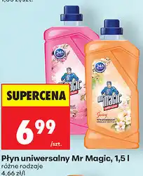 Biedronka Płyn uniwersalny Mr Magic oferta