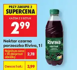 Biedronka Nektar czarna porzeczka Riviva oferta