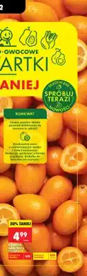 Biedronka Kumkwat oferta