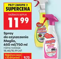 Biedronka Meglio spray do czyszczenia oferta
