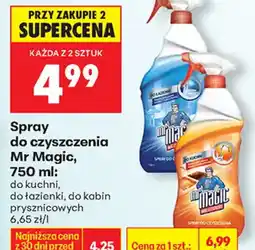 Biedronka Mr Magic Spray do czyszczenia oferta