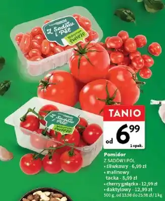 Pomidor z sadów i pól cherry gałązka