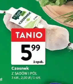 Intermarche Czosnek z sadów i pól oferta