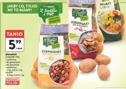 Intermarche Ziemniak Z Sadów i Pól oferta