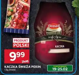 Stokrotka Market Kaczka świeża PEKIN oferta