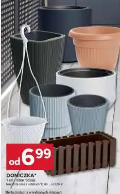 Stokrotka Market Doniczka oferta