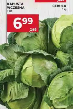 Stokrotka Market Kapusta wczesna oferta