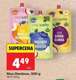 Biedronka Mus Owolovo, 300 g oferta