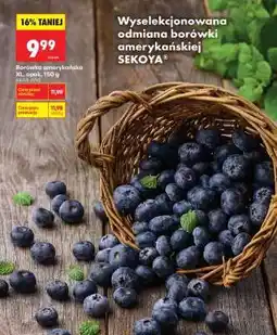 Biedronka Borówka amerykańska XL, opak. 150 g oferta