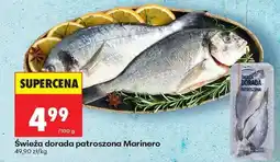 Biedronka Świeża dorada patroszona Marinero oferta