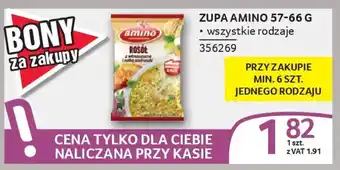 Selgros Zupa amino oferta