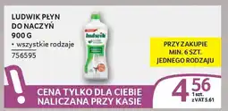 Selgros Ludwik płyn do naczyń oferta