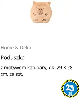 Tedi Poduszka z motywem kapibary oferta
